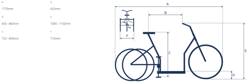 Adult Trike Proven 3 SPEED 26/24-2